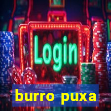 burro puxa